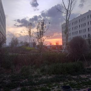 九九九黑客破解家庭网络
